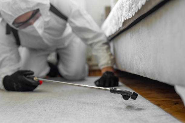 Professional Bed Bug Control technician working in Shelby County County, MO